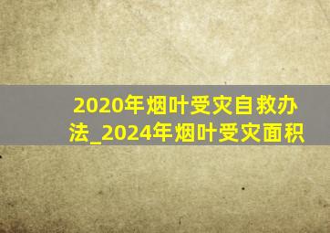 2020年烟叶受灾自救办法_2024年烟叶受灾面积