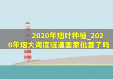 2020年烟叶种植_2020年烟大海底隧道国家批复了吗