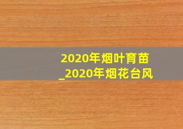 2020年烟叶育苗_2020年烟花台风