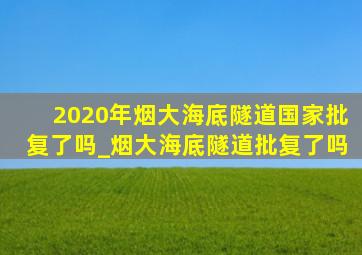 2020年烟大海底隧道国家批复了吗_烟大海底隧道批复了吗