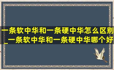 一条软中华和一条硬中华怎么区别_一条软中华和一条硬中华哪个好