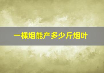 一棵烟能产多少斤烟叶