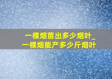 一棵烟苗出多少烟叶_一棵烟能产多少斤烟叶