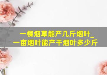 一棵烟草能产几斤烟叶_一亩烟叶能产干烟叶多少斤