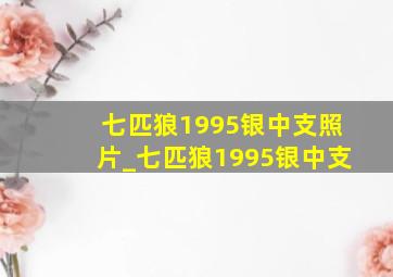 七匹狼1995银中支照片_七匹狼1995银中支