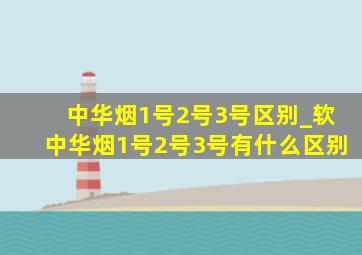 中华烟1号2号3号区别_软中华烟1号2号3号有什么区别