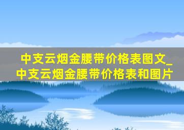 中支云烟金腰带价格表图文_中支云烟金腰带价格表和图片