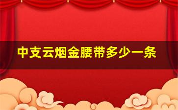 中支云烟金腰带多少一条