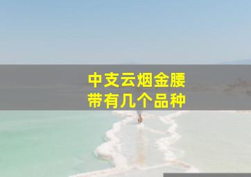 中支云烟金腰带有几个品种