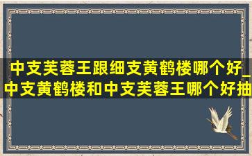 中支芙蓉王跟细支黄鹤楼哪个好_中支黄鹤楼和中支芙蓉王哪个好抽