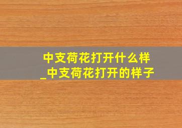 中支荷花打开什么样_中支荷花打开的样子