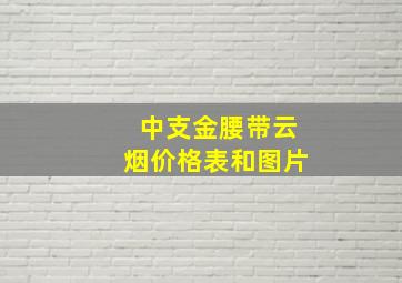 中支金腰带云烟价格表和图片