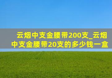 云烟中支金腰带200支_云烟中支金腰带20支的多少钱一盒