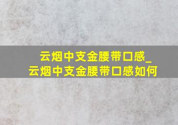 云烟中支金腰带口感_云烟中支金腰带口感如何