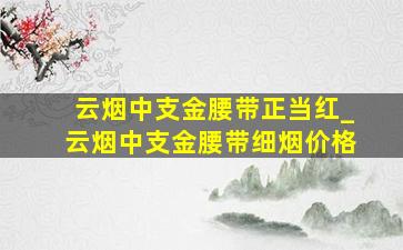 云烟中支金腰带正当红_云烟中支金腰带细烟价格