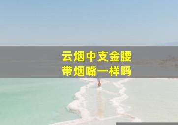 云烟中支金腰带烟嘴一样吗