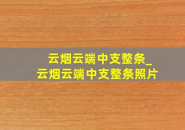 云烟云端中支整条_云烟云端中支整条照片