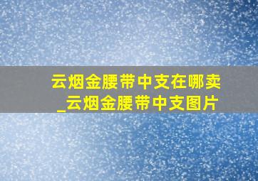 云烟金腰带中支在哪卖_云烟金腰带中支图片