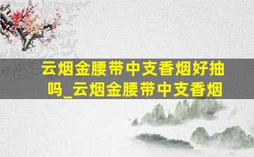 云烟金腰带中支香烟好抽吗_云烟金腰带中支香烟