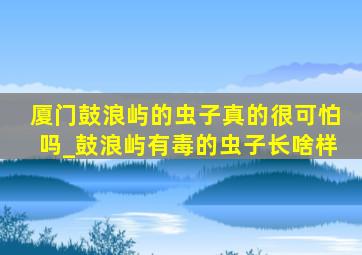 厦门鼓浪屿的虫子真的很可怕吗_鼓浪屿有毒的虫子长啥样