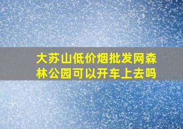 大苏山(低价烟批发网)森林公园可以开车上去吗