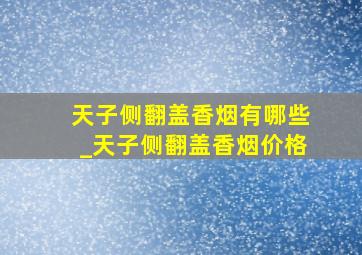 天子侧翻盖香烟有哪些_天子侧翻盖香烟价格