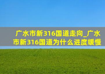 广水市新316国道走向_广水市新316国道为什么进度缓慢