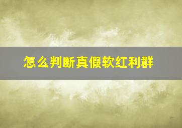 怎么判断真假软红利群