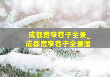 成都宽窄巷子全景_成都宽窄巷子全景图