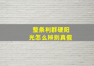 整条利群硬阳光怎么辨别真假