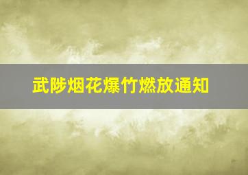 武陟烟花爆竹燃放通知