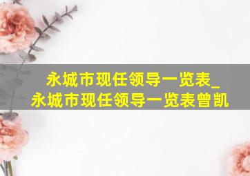 永城市现任领导一览表_永城市现任领导一览表曾凯