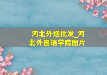 河北外烟批发_河北外国语学院图片