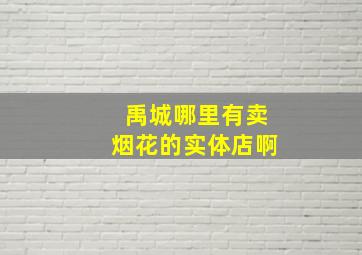 禹城哪里有卖烟花的实体店啊