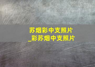 苏烟彩中支照片_彩苏烟中支照片