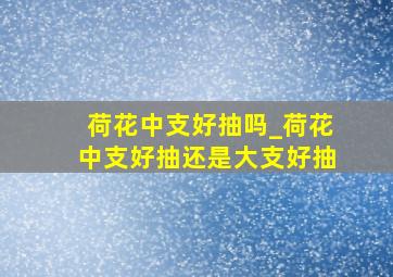 荷花中支好抽吗_荷花中支好抽还是大支好抽