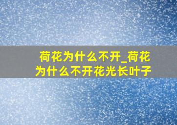 荷花为什么不开_荷花为什么不开花光长叶子