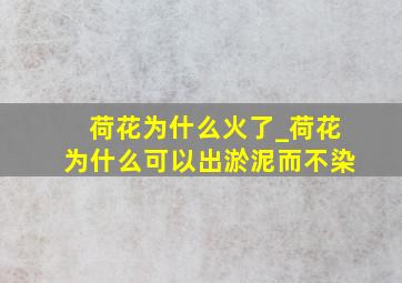 荷花为什么火了_荷花为什么可以出淤泥而不染