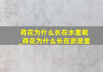 荷花为什么长在水里呢_荷花为什么长在淤泥里