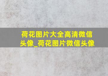 荷花图片大全高清微信头像_荷花图片微信头像