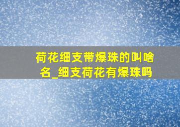 荷花细支带爆珠的叫啥名_细支荷花有爆珠吗