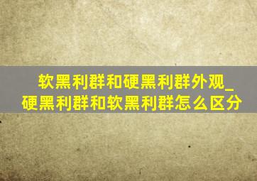 软黑利群和硬黑利群外观_硬黑利群和软黑利群怎么区分