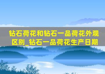 钻石荷花和钻石一品荷花外观区别_钻石一品荷花生产日期