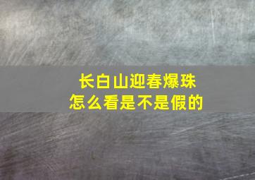 长白山迎春爆珠怎么看是不是假的