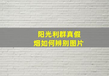 阳光利群真假烟如何辨别图片