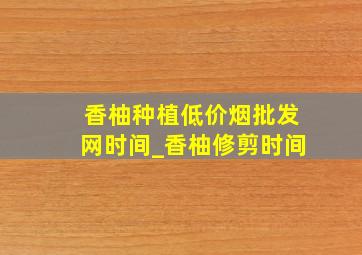 香柚种植(低价烟批发网)时间_香柚修剪时间