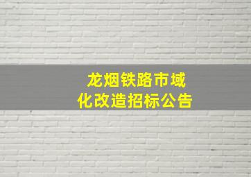 龙烟铁路市域化改造招标公告